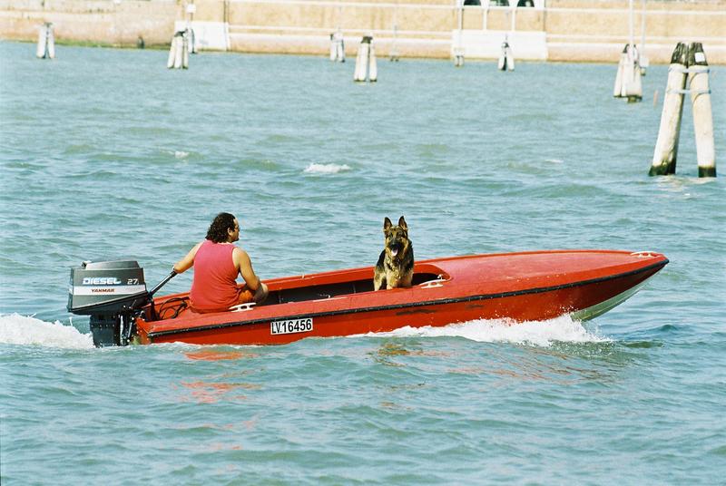Hundesommer in Venedig