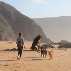 Hundespaß am Strand