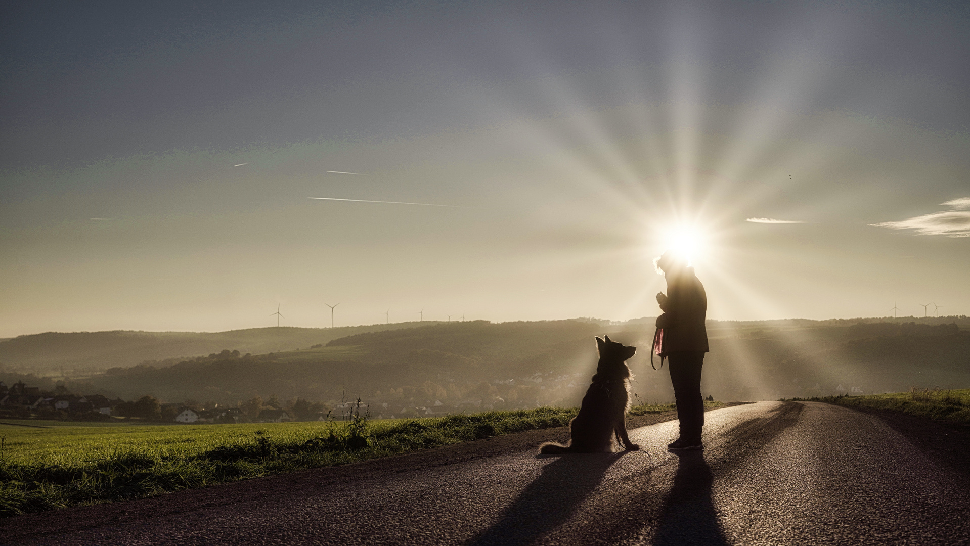 Hundespaziergang bei Sonnenuntergang