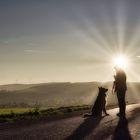 Hundespaziergang bei Sonnenuntergang