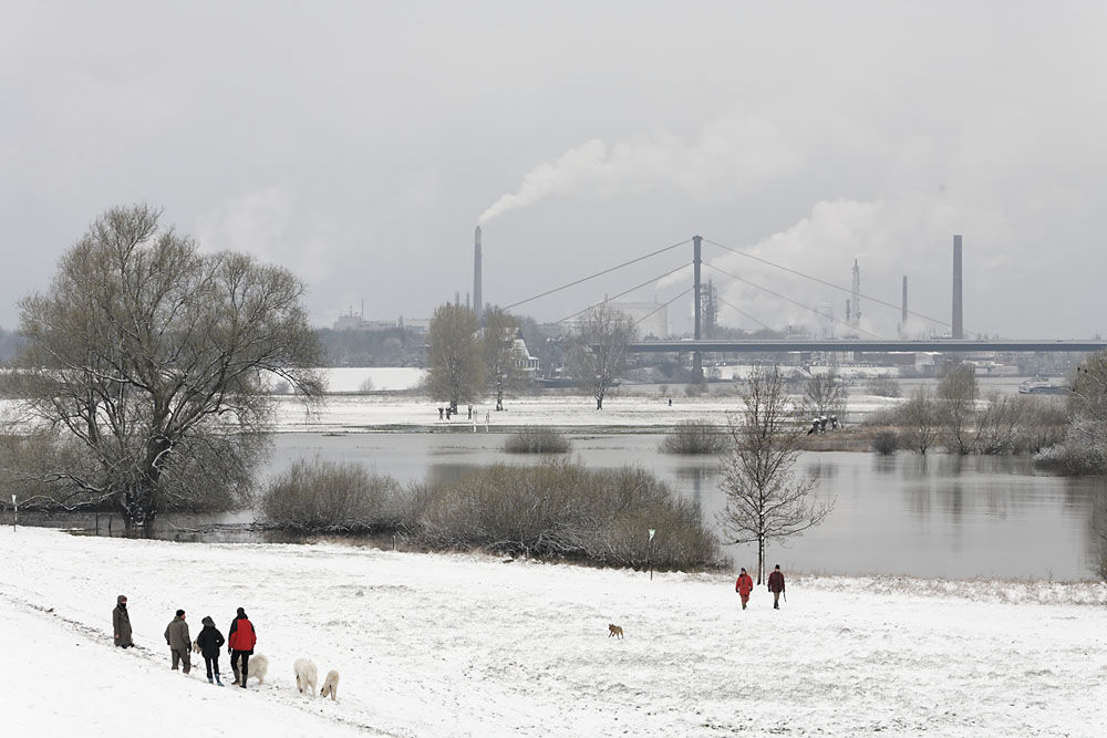 Hundespaziergang im Winter