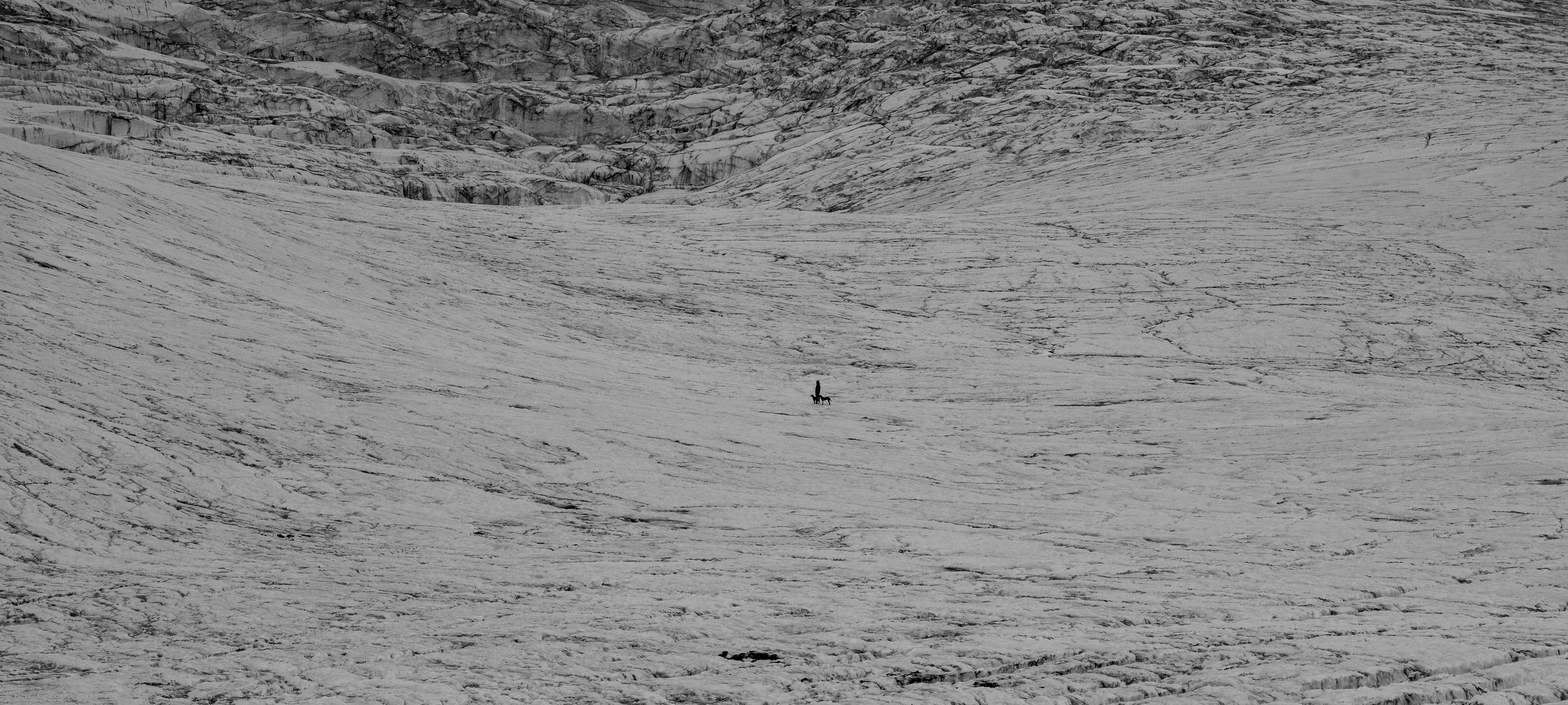 Hundespaziergang in der Eiswüste....