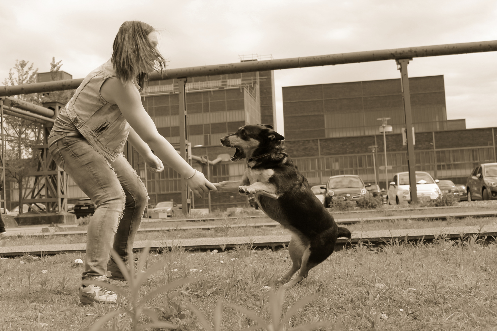 Hundespiel Hundespiel