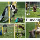 Hundesport