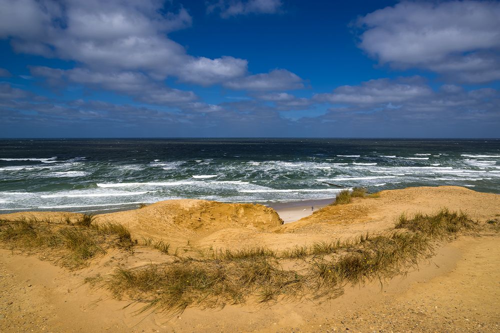 Hundestrand