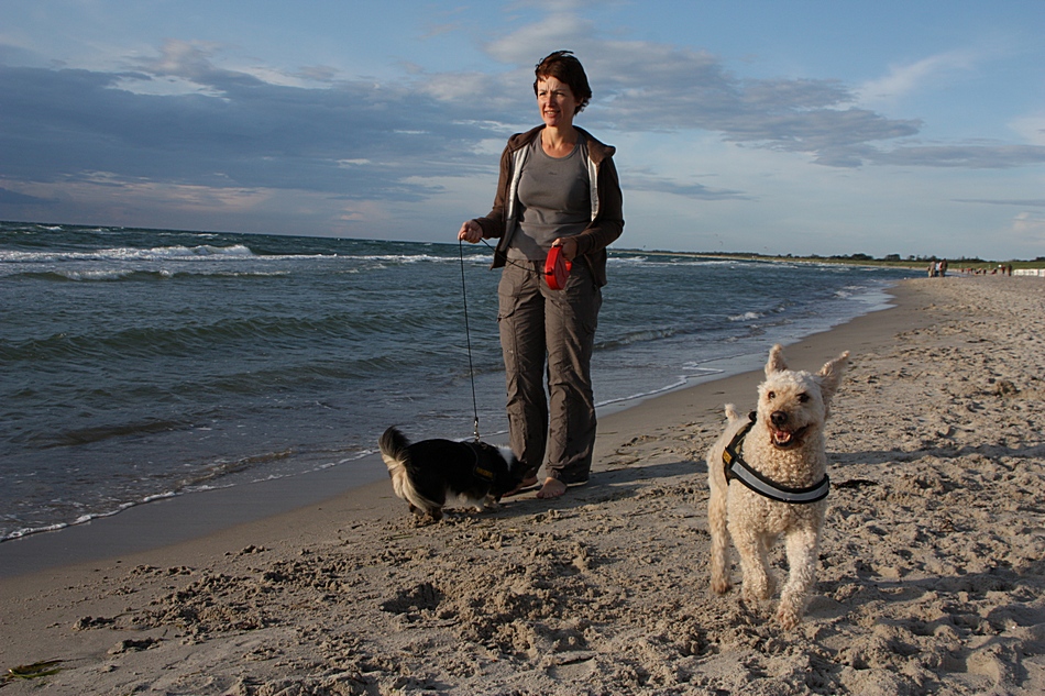 Hundestrand