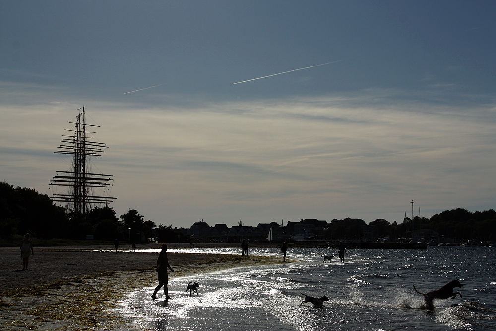 Hundestrand auf dem Priwall in Travemünde