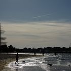 Hundestrand auf dem Priwall in Travemünde