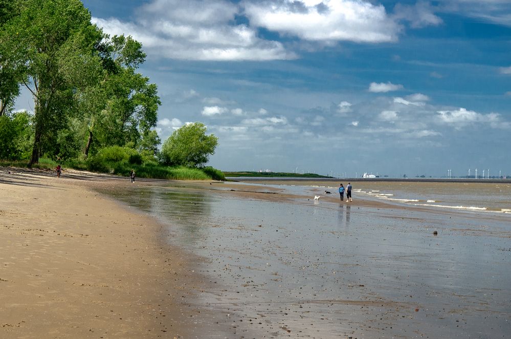 Hundestrand