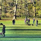 Hundetreff in der Herbstsonne