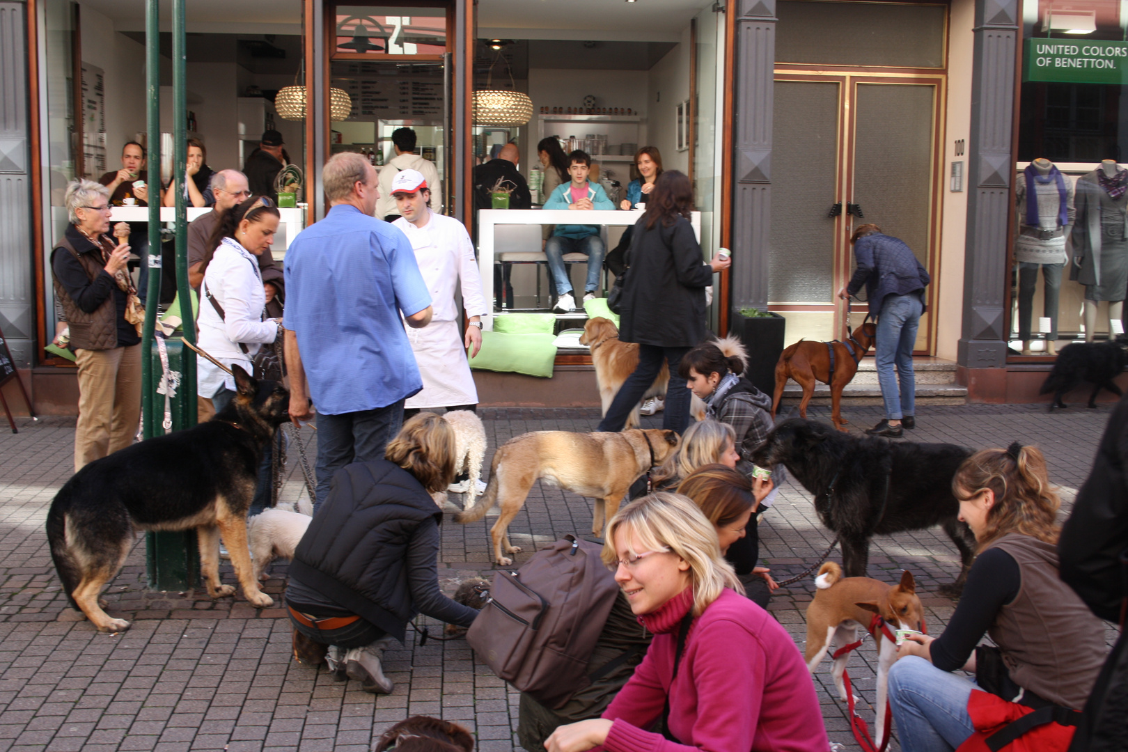 Hundetreffen