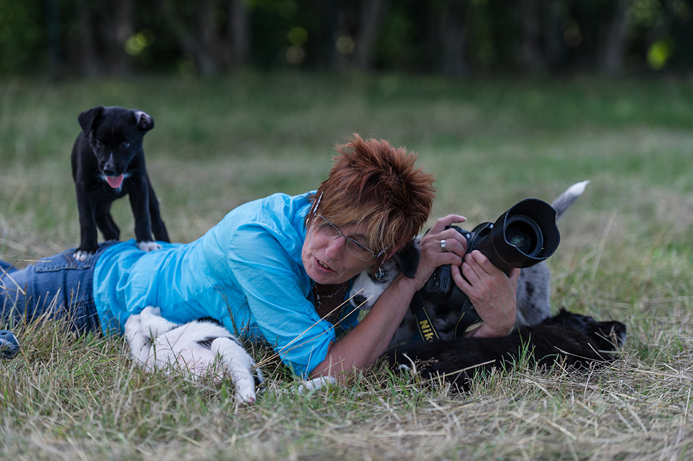 Hundewelpen - Shooting