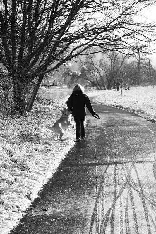 hundewetter