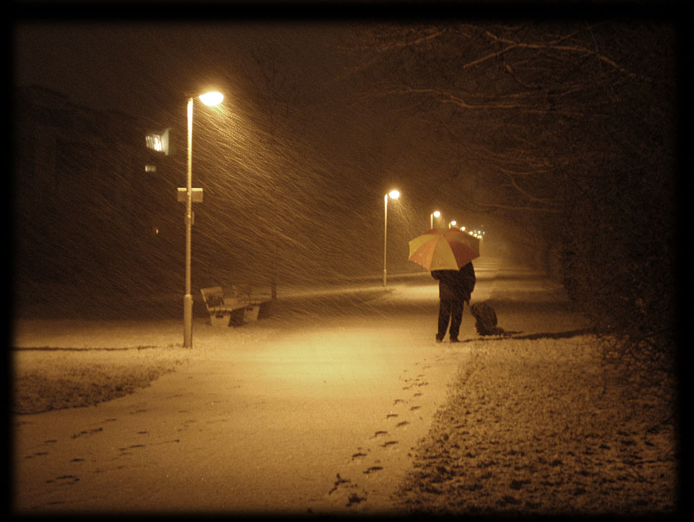 Hundewetter als Schneenacht