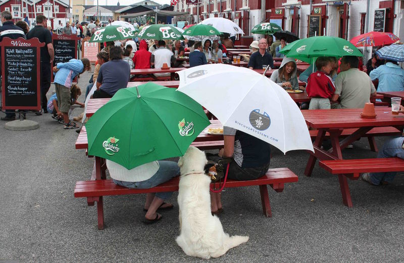 Hundewetter