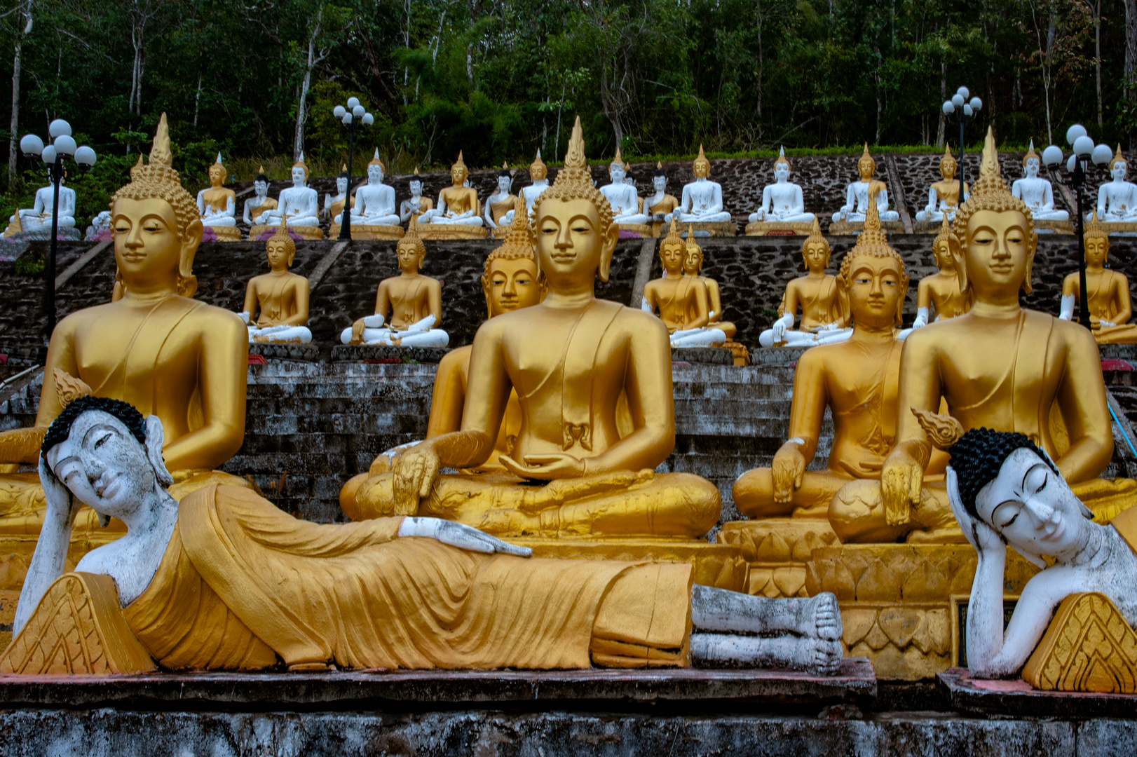 Hundreds of Buddha images in line