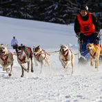 Hundschlittenrennen 2012 Bad Hindelang / Unterjoch