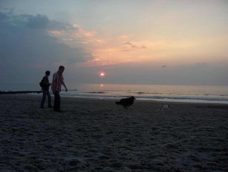 Hundsgewöhnlich - Spaziergang am Strand