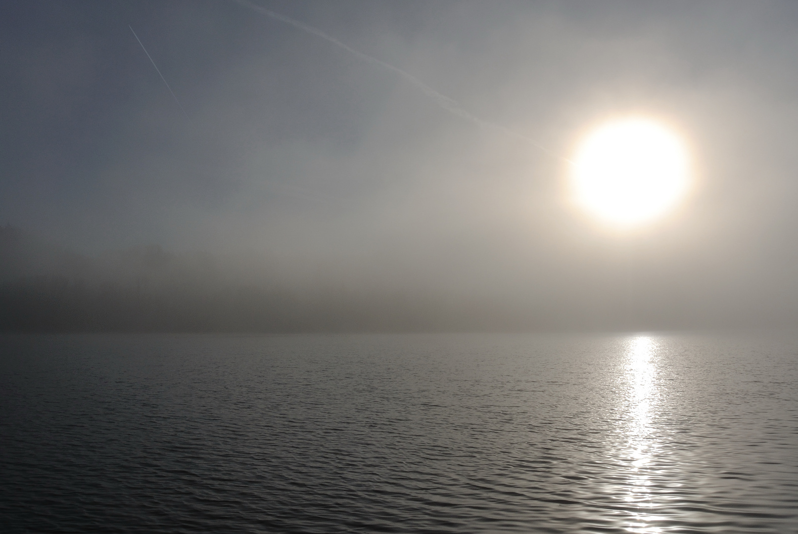 Hundsgewöhnlicher Baggersee