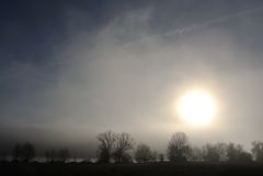 Hundsgewönlicher Baggersee II