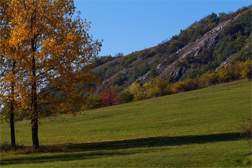 hundsheimer berg