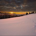 Hundskommune Spuren im Schnee