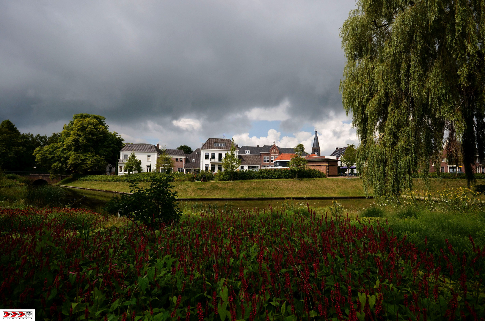 Hundstage in Holland