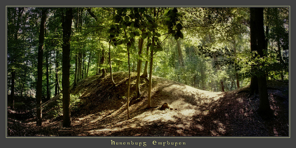 Hunenburg oder Burgwall nabei Emsbüren