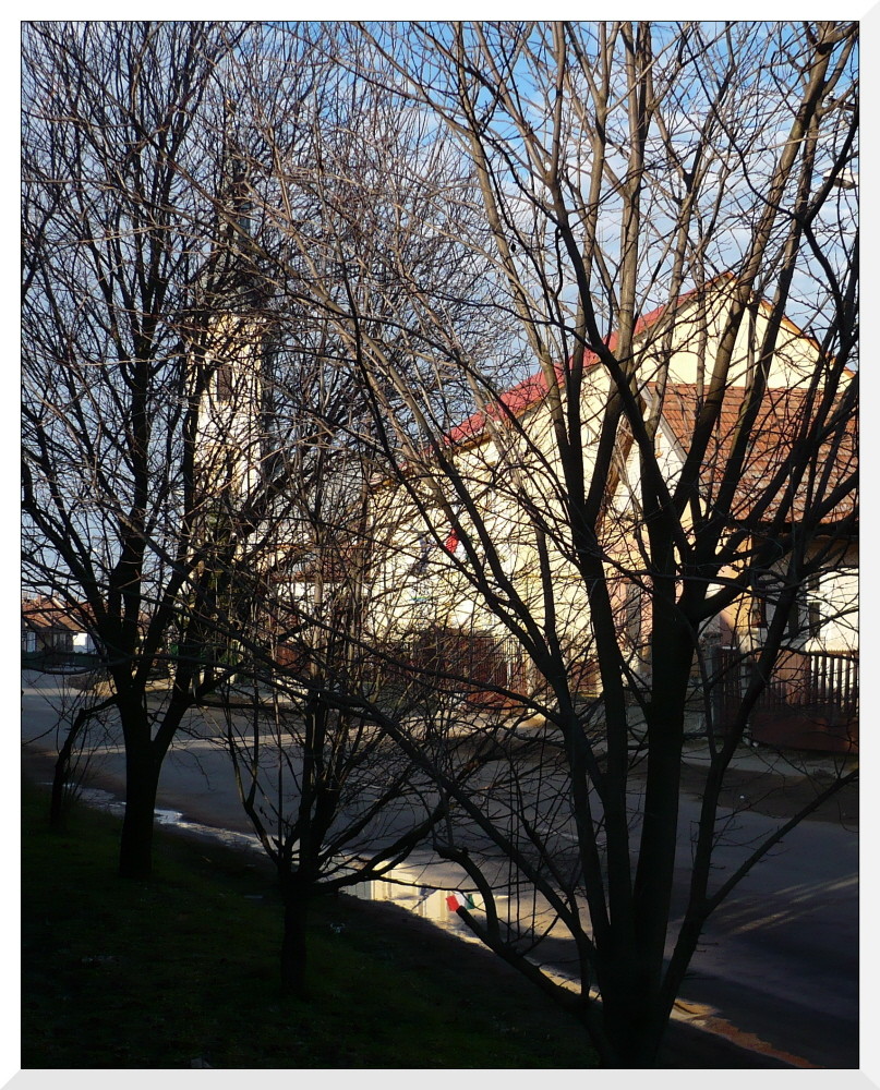 Hungarian flag reflection