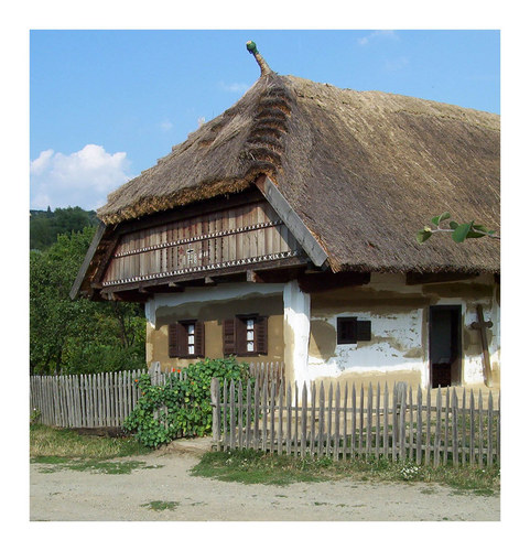 Hungarian rural house