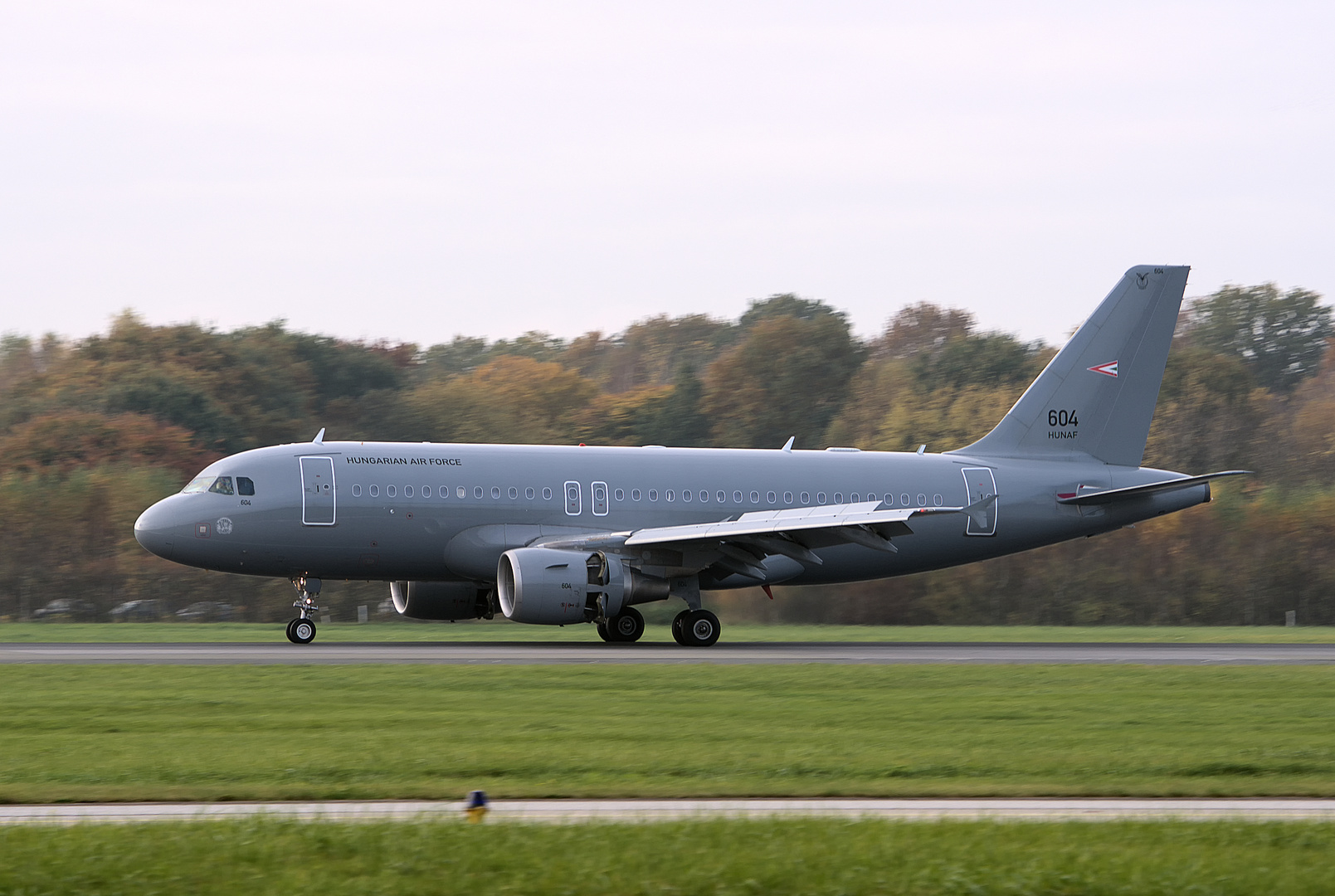 Hungary - Air Force Airbus A319 604