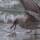 hunger am Strand