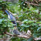 Hunger beim ersten Ausflug