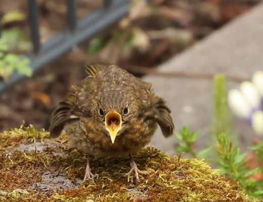 !!!!! .....  Hunger ..... !!!!!