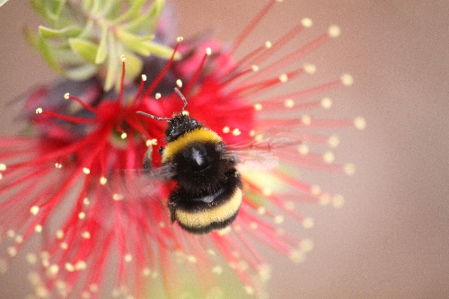 Hunger im Frühling