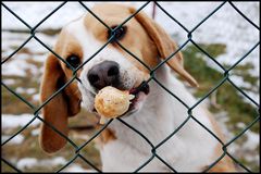 hungrige Angelegenheit