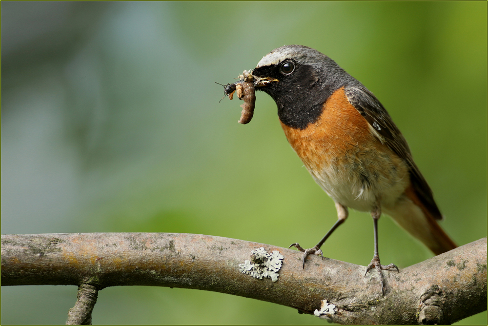 Hungrige Kinder in der Nähe