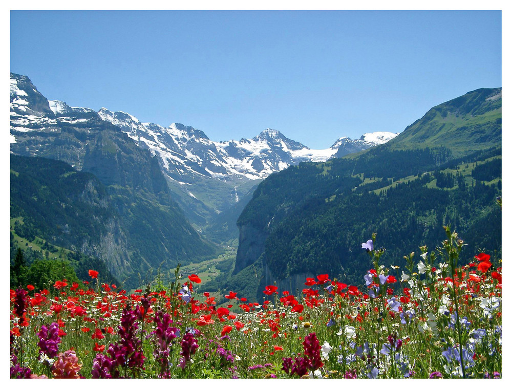 Hunnenfluh bei Wengen