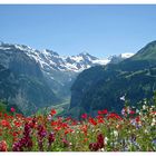 Hunnenfluh bei Wengen