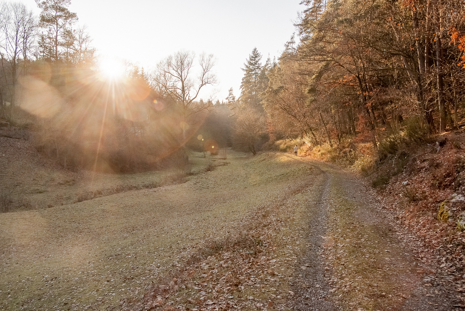 Hunsrück, 26.12. 2008 