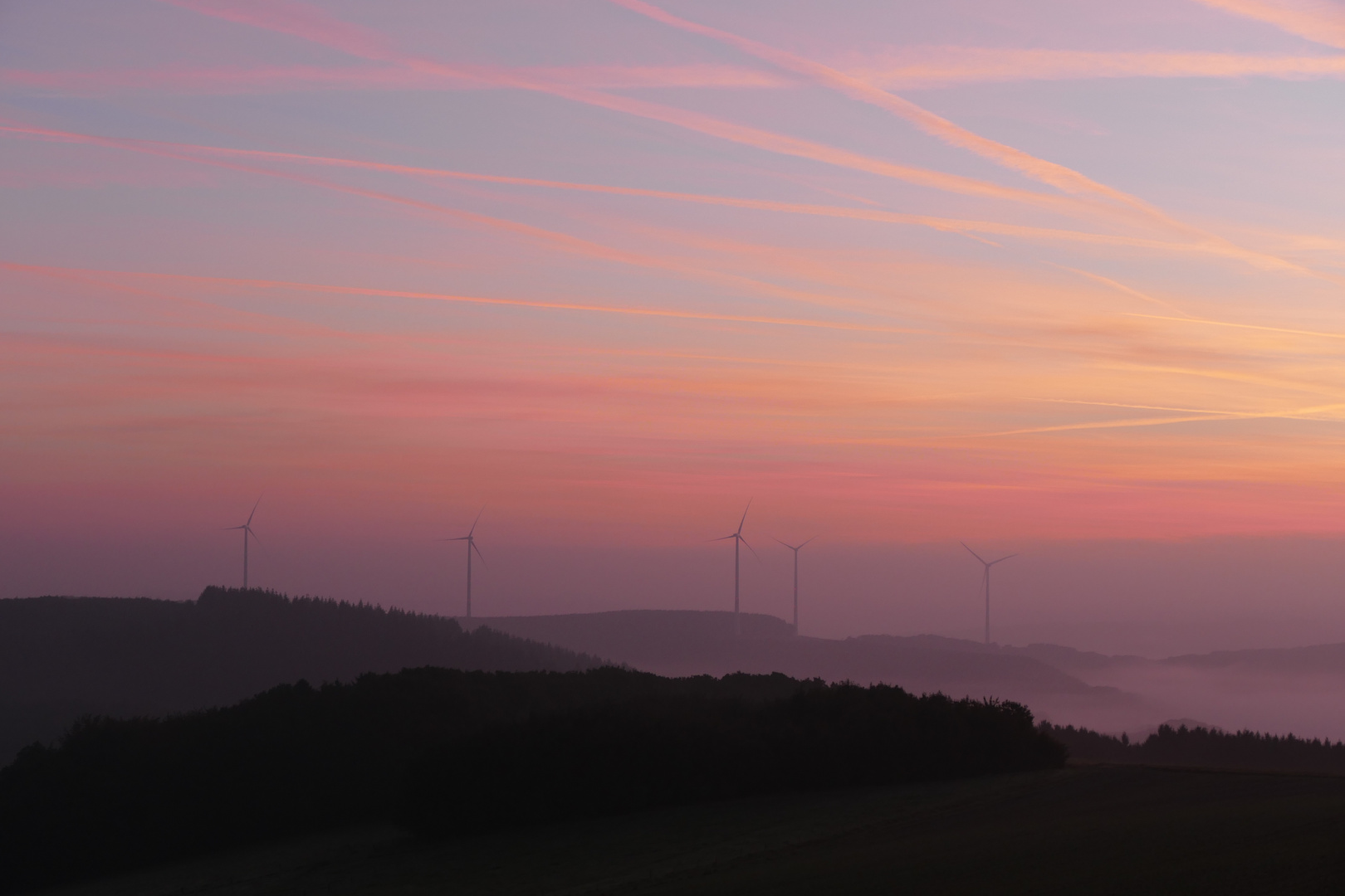 Hunsrück am frühen Morgen