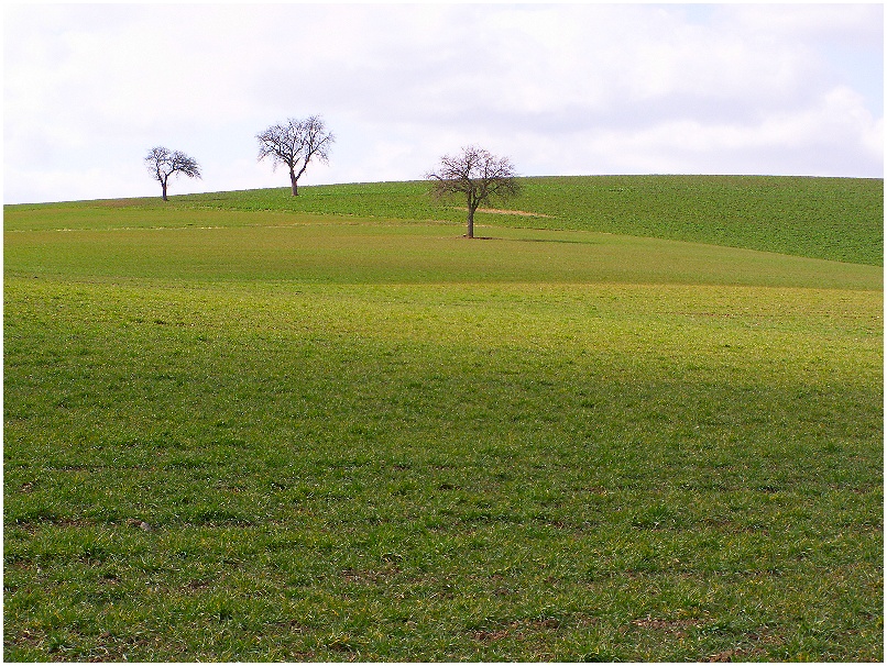 Hunsrück-Einsamkeit 2