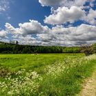 Hunsrück mit Sonne