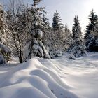 hunsrück schnee