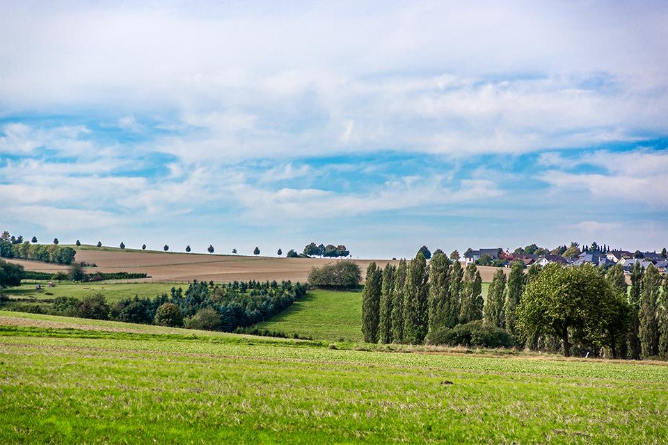 Hunsrücker Toscana