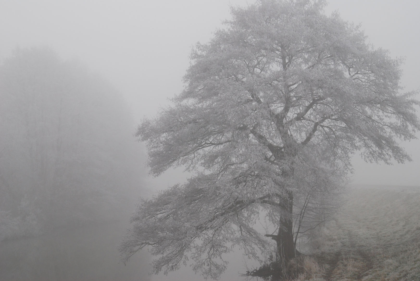 Hunte im Dezembernebel 1