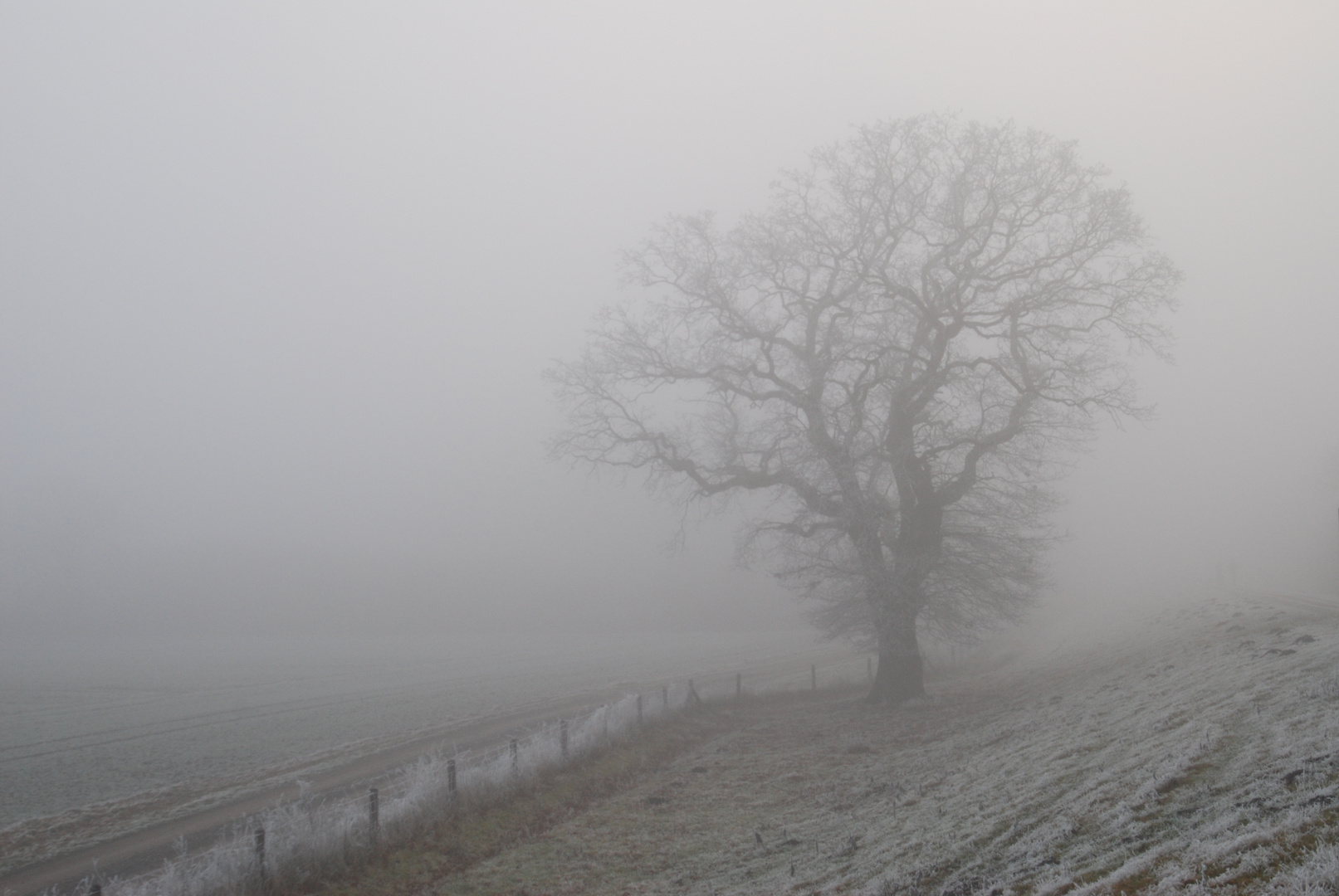 Hunte im Dezembernebel 3