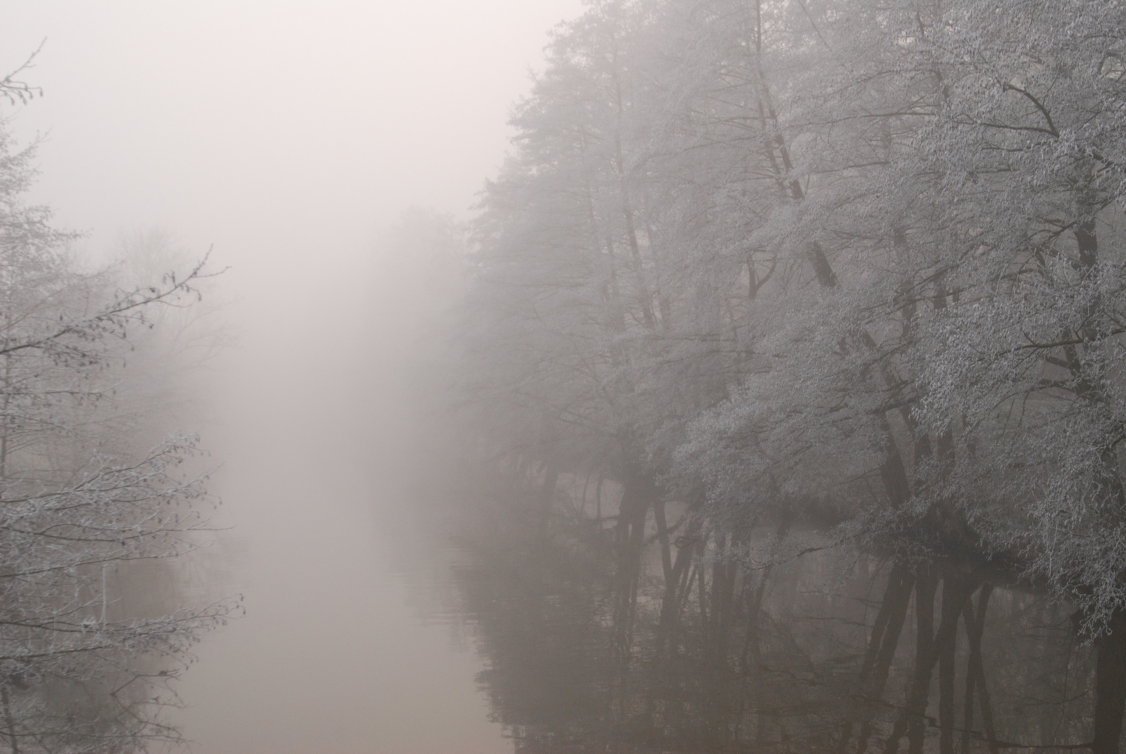 Hunte im Dezembernebel 5