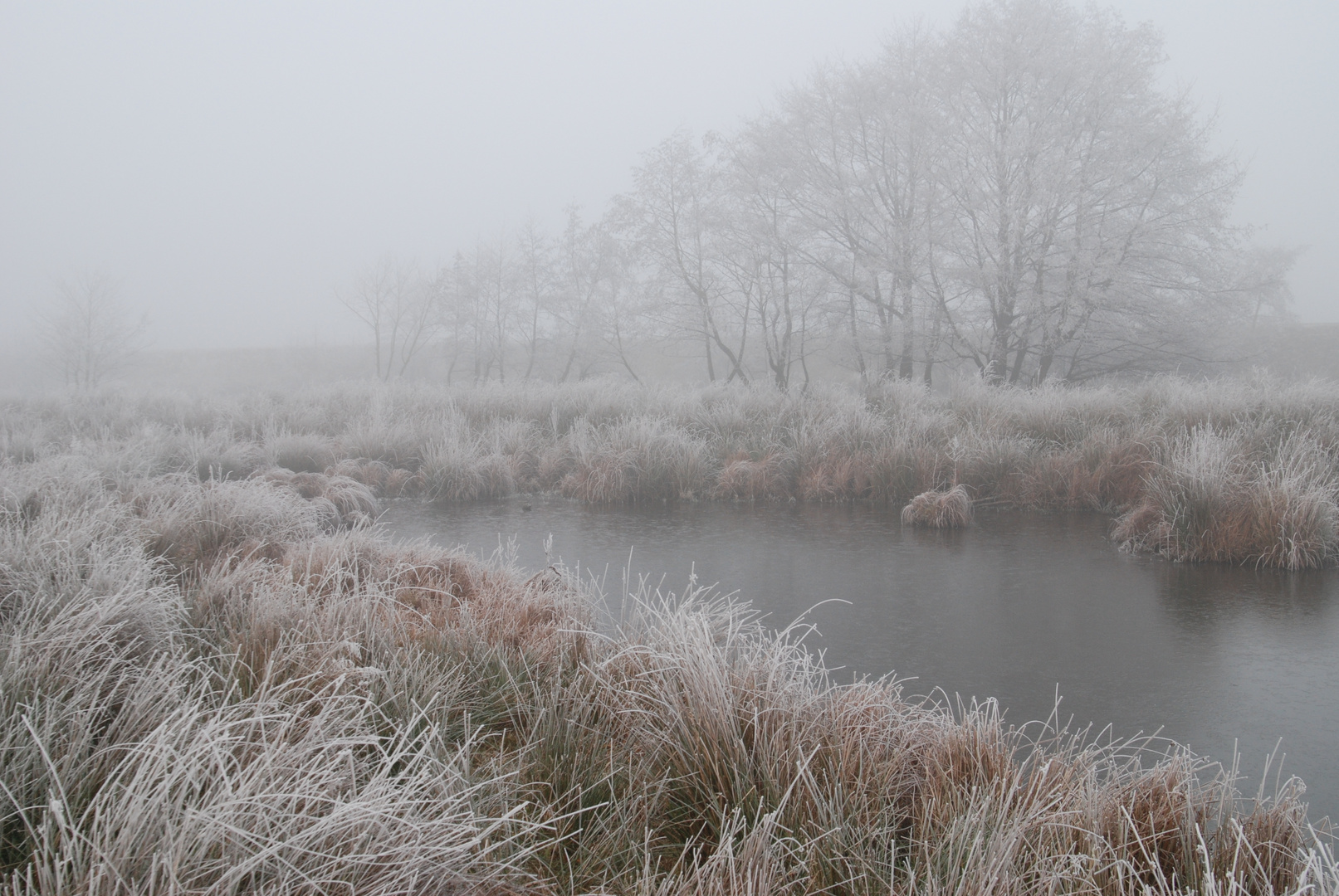 Hunte im Dezembernebel 8