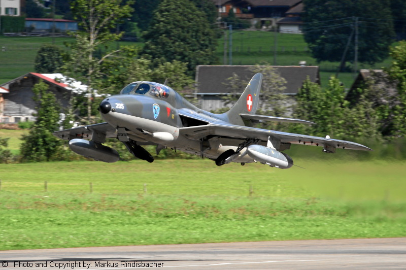 Hunter am Start in St. Stephan